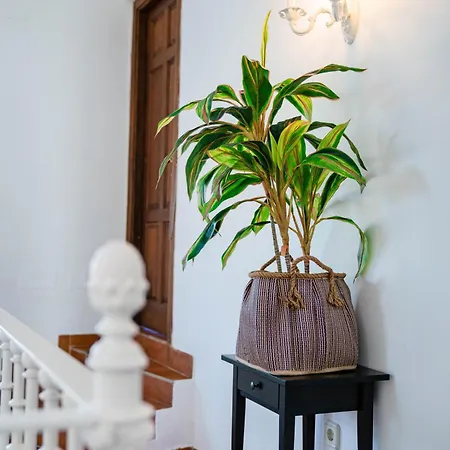10 Luxe By Lirios Village Villa Marbella